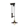 Подвесная люстра Favourite Winch 1762-1P