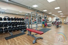 Силовая рама Aerofit IFPC