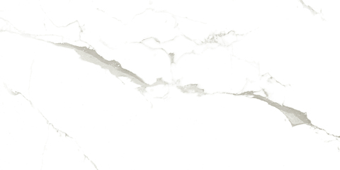 ARTCER Marble Vena Fine Statuario 60x120