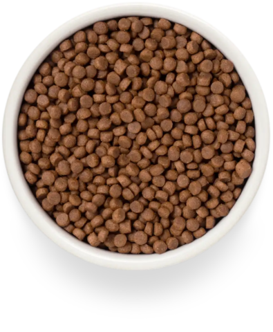 PREMIER Свежее филе лосося с индейкой для взрослых кошек