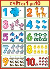 
          Плакат обучающий, 550 мм * 697 мм, "Счет от 1 до 10", для дошкольника, Мир Открыток, картон