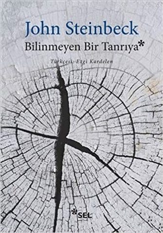 Bilinmeyen Bir Tanriya