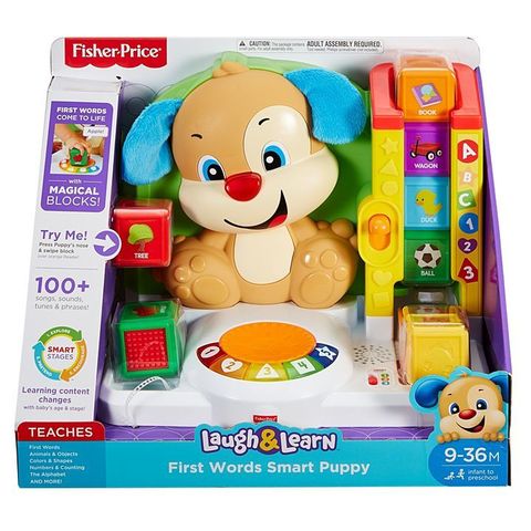 Музыкальный проигрыватель Ученого щенка от Fisher Price напрокат
