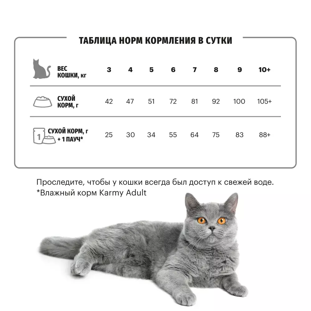 Сухой корм для кошек породы Британская короткошерстная, Karmy British  Shorthair ADULT, с индейкой купить с доставкой в интернет-магазине  зоогастроном.ру