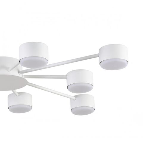 Потолочная люстра Lumion TORINA 8343/10C