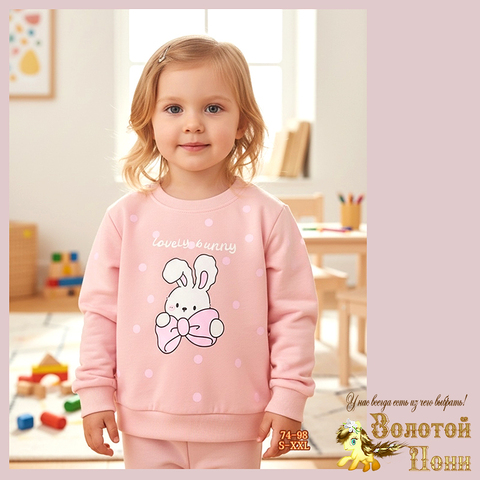 Свитшот трикотаж д (74-98) 251205-Y5142