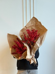 Охапка красного илекса