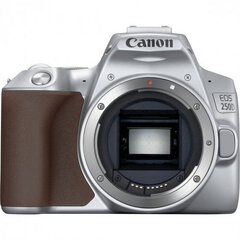 Canon EOS 250D Body silver