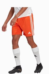 Шорты adidas Squadra 21