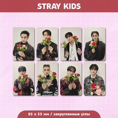 Сет карточек / STRAY KIDS #173
