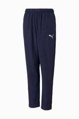 Штаны Puma teamRISE Sideline Детские