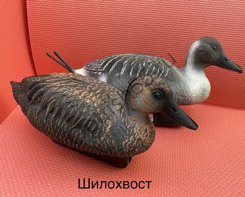 Утка пластиковая Шилохвост