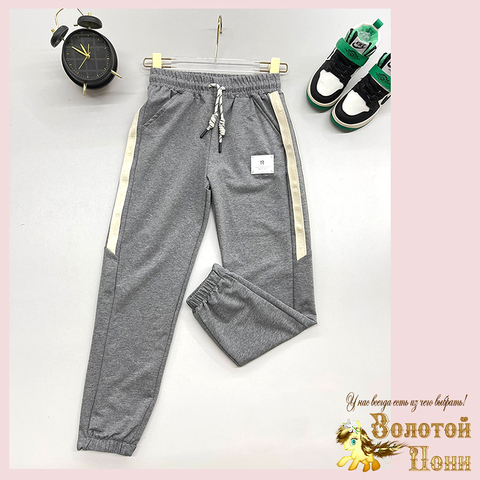 Брюки спортивные подрост (10-15) 250109-RT1001