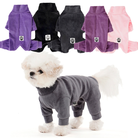 004 Костюм (ВЕЛЮРОВЫЙ) с высоким воротом "Angel Monsters Velour Highneck" Puppy Angel