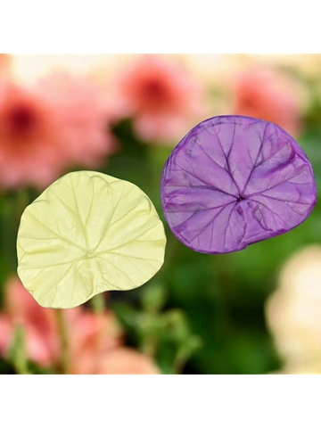 Молд+Вайнер лист пеларгонии 12х10,5см