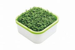 Проращиватель микрозелени - 2 шт., Здоровья клад, выращиватель для домашнего использования