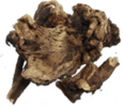 Живокость высокая (корень, 50гр.)   (Старослав)