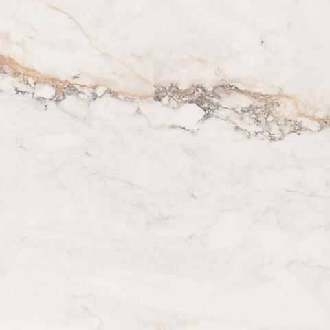 Pamesa Pisa Gold Compacglass 60x60