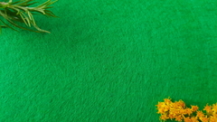 Фетр средней жесткости 2 мм, ш. 1 м, 215,4 гр/м2, травяной