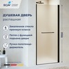 RGW 020810307-24c Душевая дверь  70*195 RGW PA-103-B Чёрный/Матовое/6 мм (Хим)