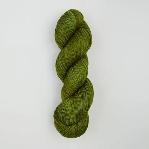 Symfonie Terra SS2021