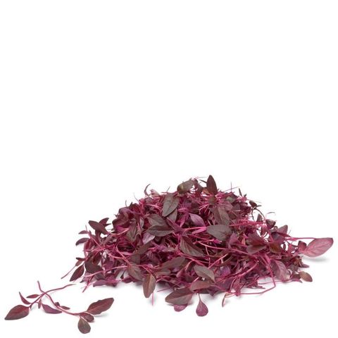 Семена для выращивания микрозелени Семко Амарант Ред Калулу 50 г