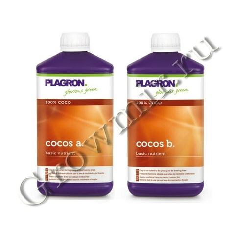 Plagron Coco A+B 1 L