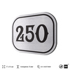Номерок на дверь квартиры 250, для кабинета, офиса, шильдик 9 х 7 см, серебристый, Айдентика Технолоджи