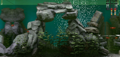 Biotope (для ПК, цифровой код доступа)