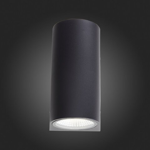 Светильник уличный ST Luce Deale SL088.411.02