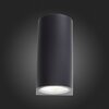 Светильник уличный ST Luce Deale SL088.411.02