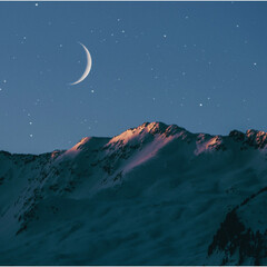 PFL. Смесь масел 