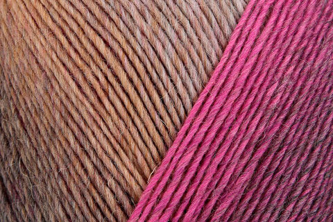 Regia Virtuoso Color 3077