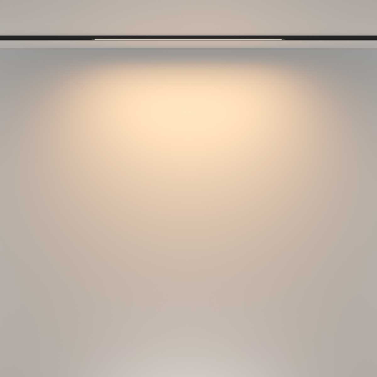 Трековый светильник Maytoni Technical TR173-1-16WTW-B