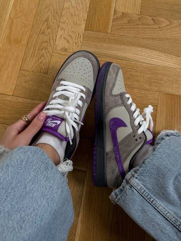 Nike Dunk Low winter