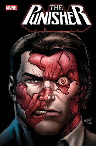 Punisher Vol 14 #2 (Cover A) (ПРЕДЗАКАЗ!)