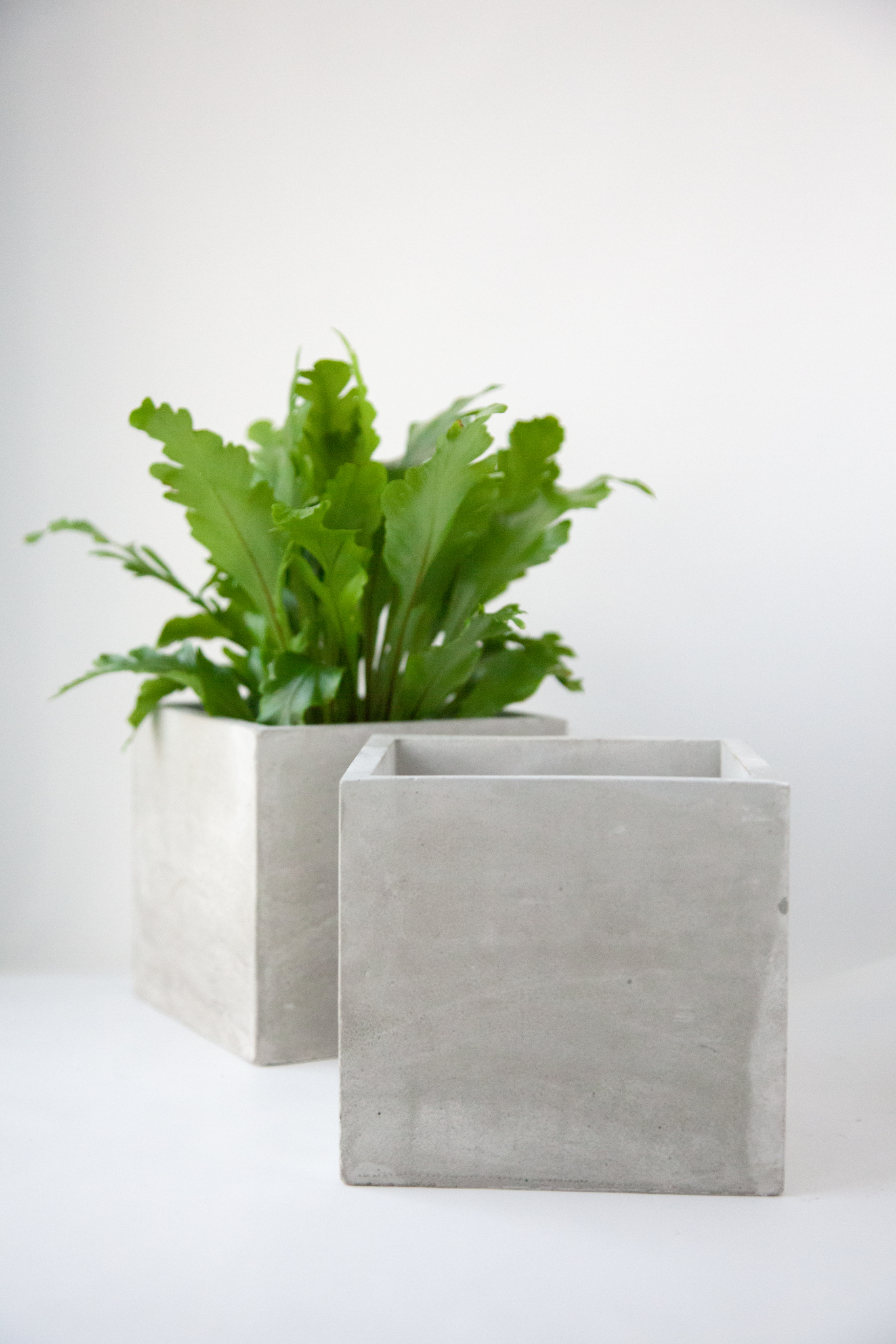 Кашпо Cube Planter l