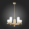 Светильник подвесной ST Luce Teneresa SL1119.203.05
