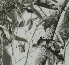 Ткань Оксфорд 600D PU 1000 WR 310 гр/м.п., зимний лес