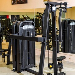 Баттерфляй - задние дельты (Pearl Delt/Pec Fly) DHZ E-5007. Стек 109 кг