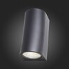 Светильник уличный ST Luce Deale SL088.411.02