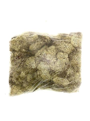 Стабилизированный мох ягель. 0.5 кг (натуральный)