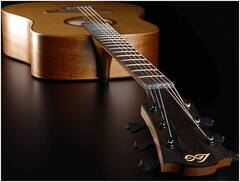 Гитара акустическая LAG T-170D