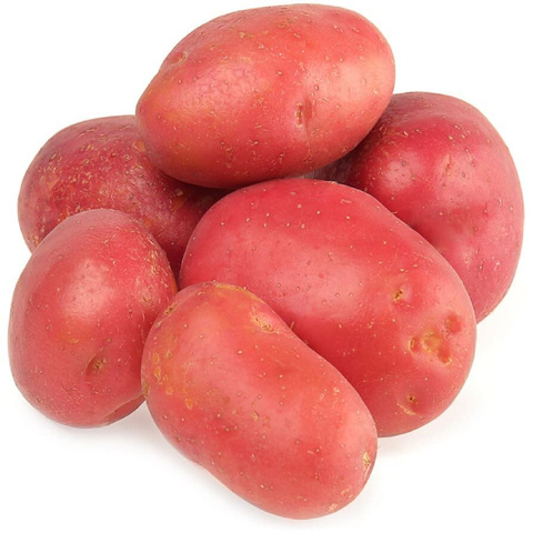 Картофель Красный
