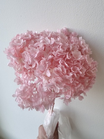 Гортензия стабилизированная сортовая Нежно-розовый (12-15см)