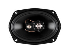 Акустическая система Aspect Audio WLS-693