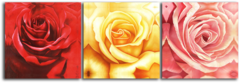 Модульная картина "Бутоны роз"