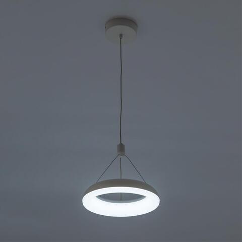 Подвесной светодиодный светильник Citilux Паркер CL225B110