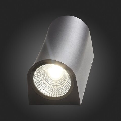 Светильник уличный ST Luce Deale SL088.411.02