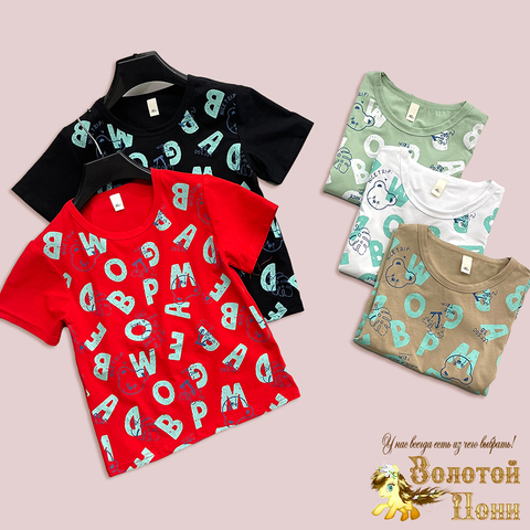 Футболка хлопок м (2-6) 250116-W5028